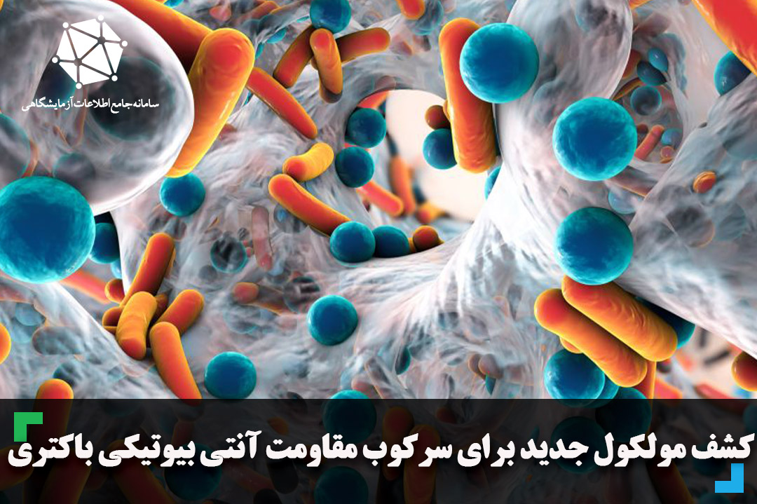 کشف مولکول جدید برای سرکوب مقاومت آنتی بیوتیکی باکتری