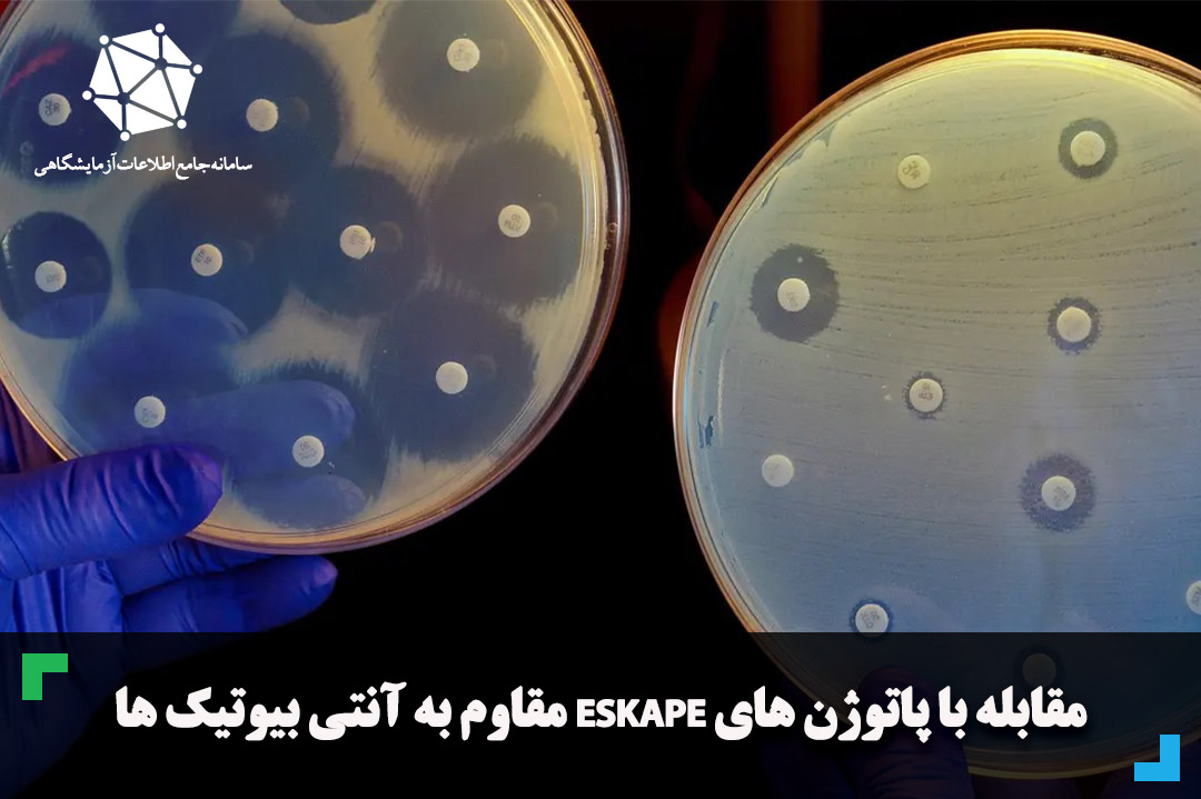 مقابله با پاتوژن های ESKAPE مقاوم به آنتی بیوتیک ها