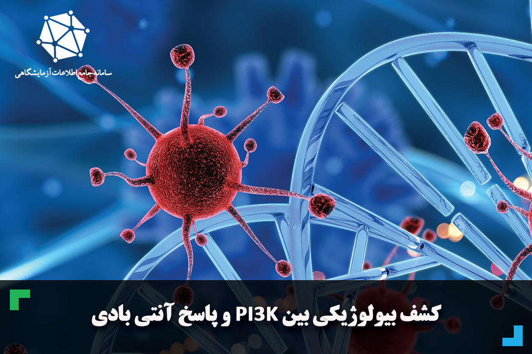 کشف بیولوژیکی بین PI3Kγ و پاسخ آنتی بادی