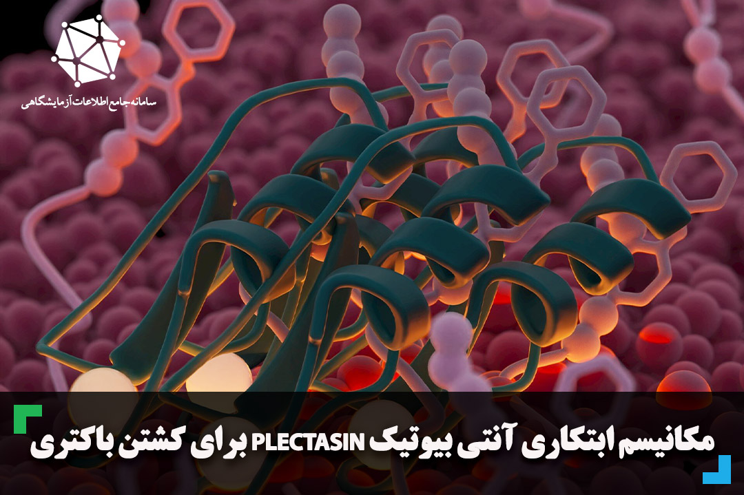 مکانیسم ابتکاری آنتی بیوتیک plectasin برای کشتن باکتری